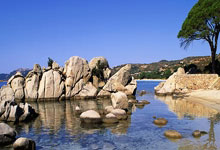 雨燕直播app怎么下载？安全下载及使用指南全解析